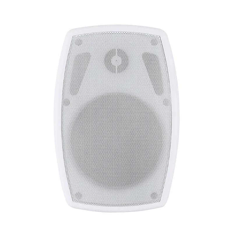 30 40 60 Watt High-power Wall-mounted Speakers with Treble Transformers for Public Address Systems