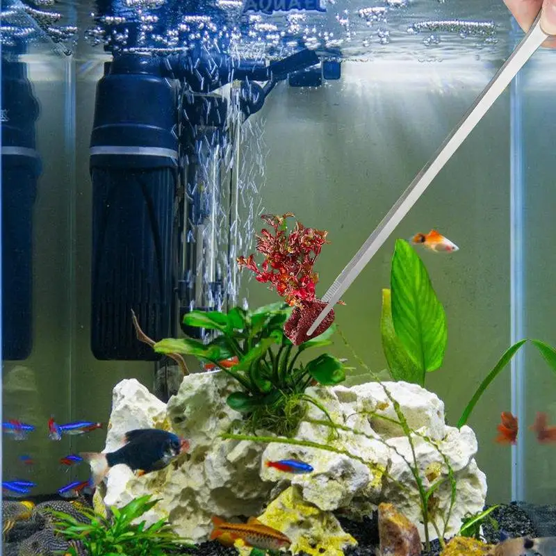 Imagem -04 - Pinças Alimentadoras de Répteis Inoxidáveis Pinças Retas e Curvas Pinças Longas de Aquário para Plantas Aquáticas Fabricação de Jóias Pcs