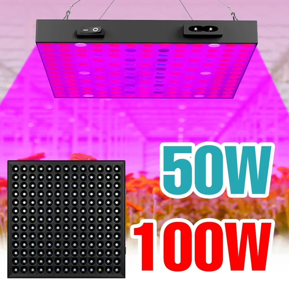 

100W Full Spectrum Grow Light 220V LED Seedings Planting Panel Lamp Greenhouse Tent Hydroponic Vegs Fruit Cultivation Lighting