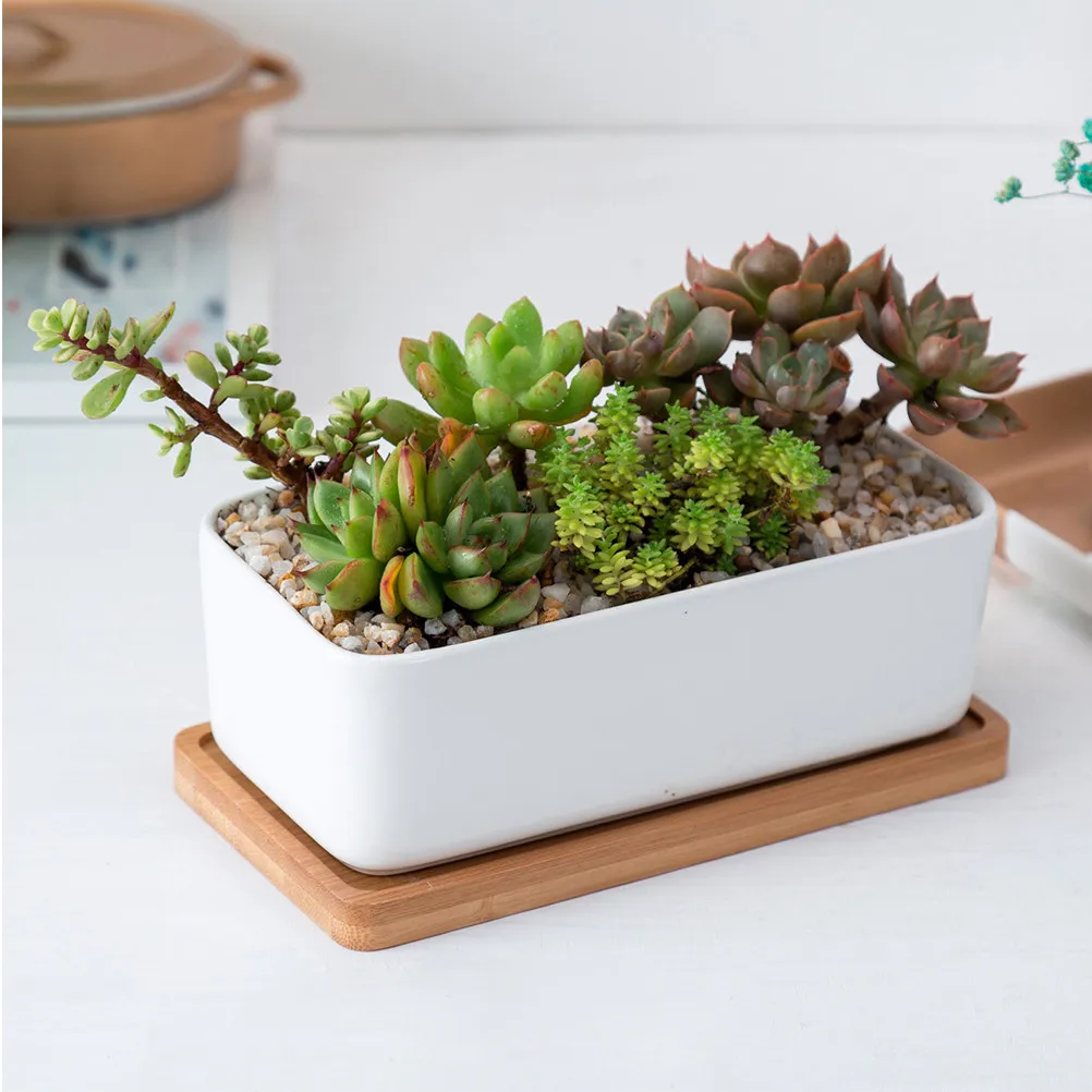 

1Set Handcrafted Ceramic Oblong Flowerpot Bamboo Tray Set for Small Plants Succulents Bonsai Home Office Garden Decor