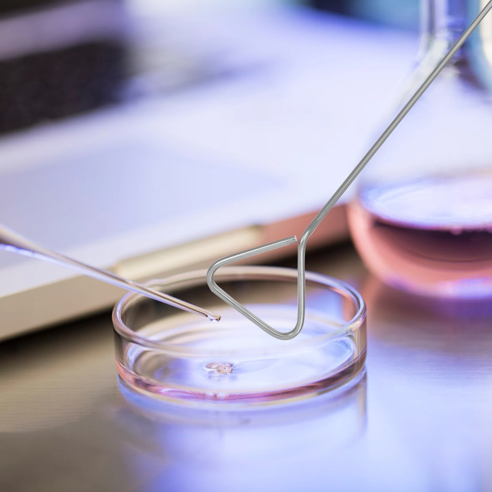 6 szt. Trójkątnych szpatułek Petriego ze stali nierdzewnej do rozsiewania komórek laboratoryjnych, narzędzie do eksperymentów hodowlanych, akcesoria laboratoryjne, pomoce dydaktyczne