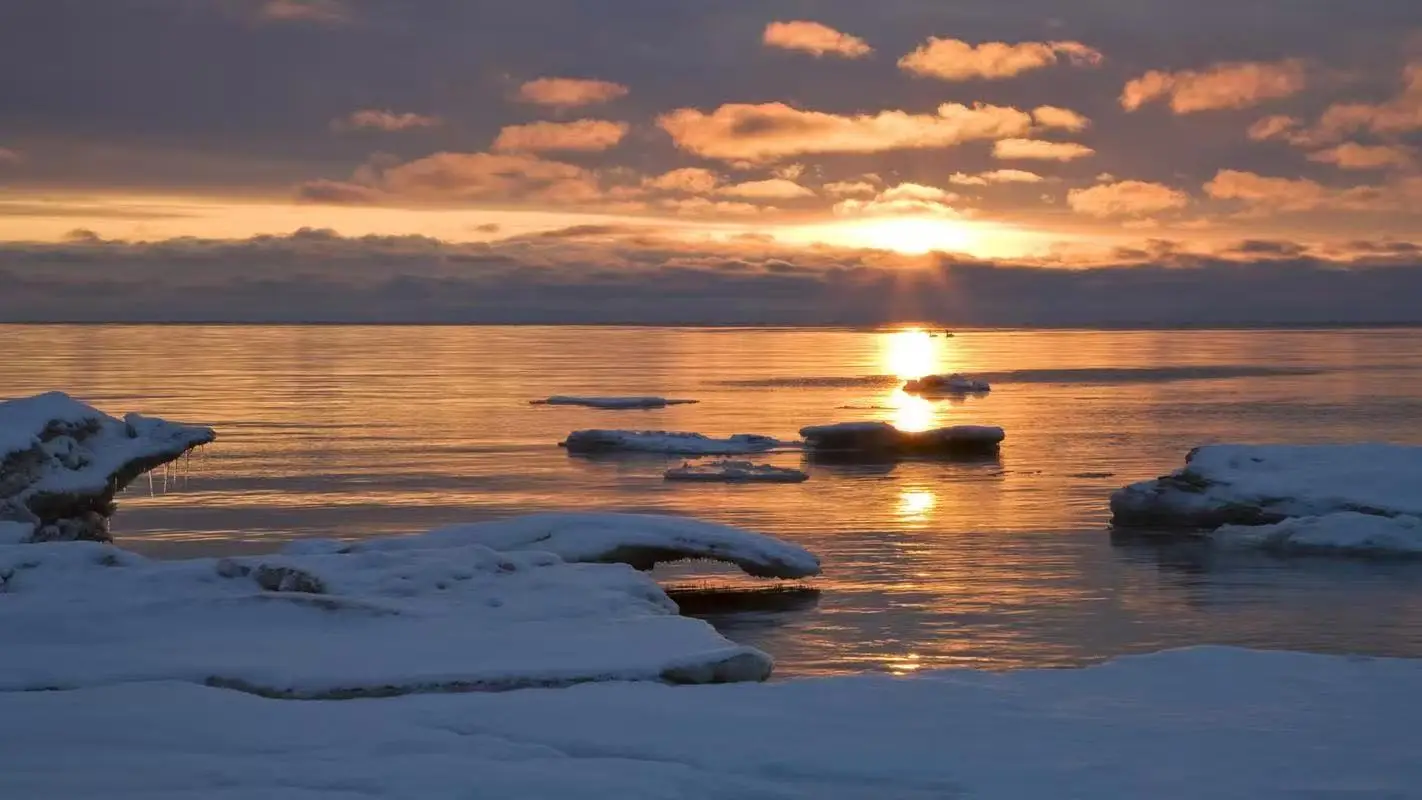 

EMS Zero Mini Nova RF Machine EMSzero Muscle Stimulation EN Body Sculpting Fat Burning EMS Electromagnetic Slimming