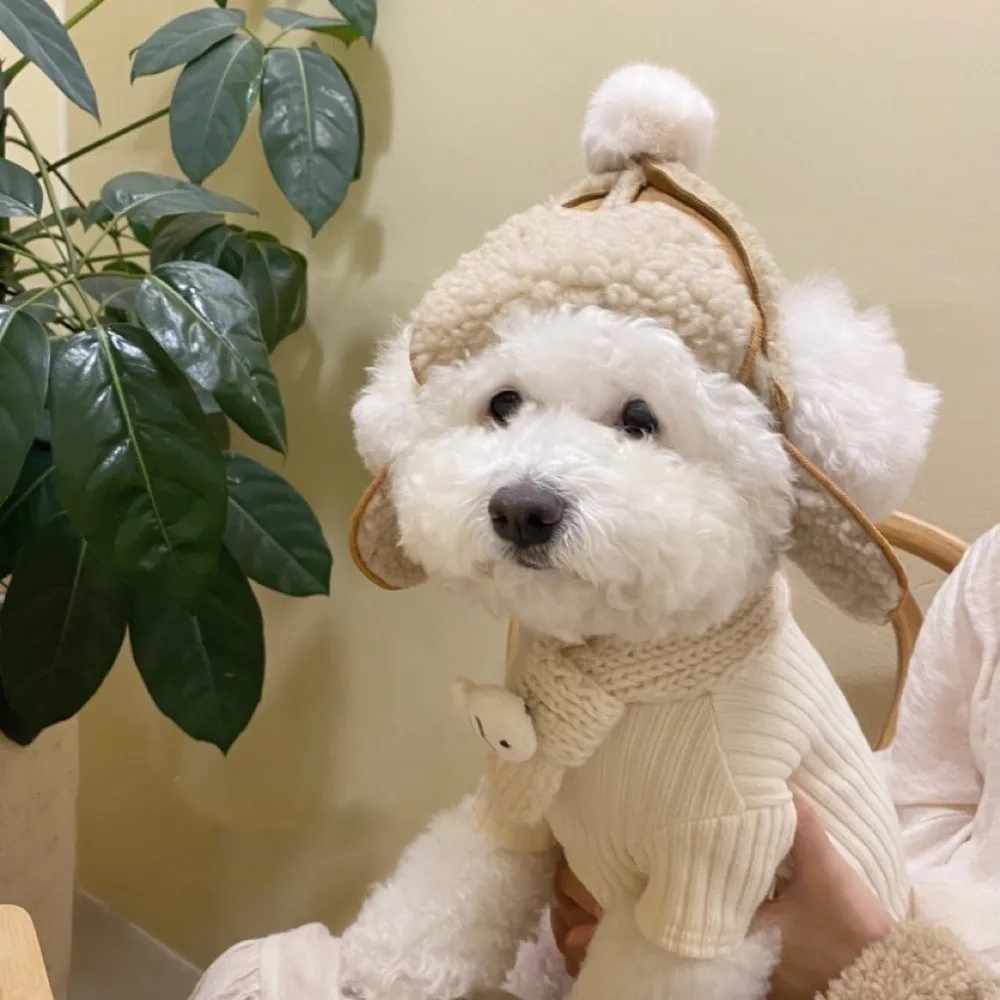 

Fashion Warm Cat Flying Hat Windproof with Ear Hole Fluffy Dog Hat Lamb Fur Pet Headwear Photograph