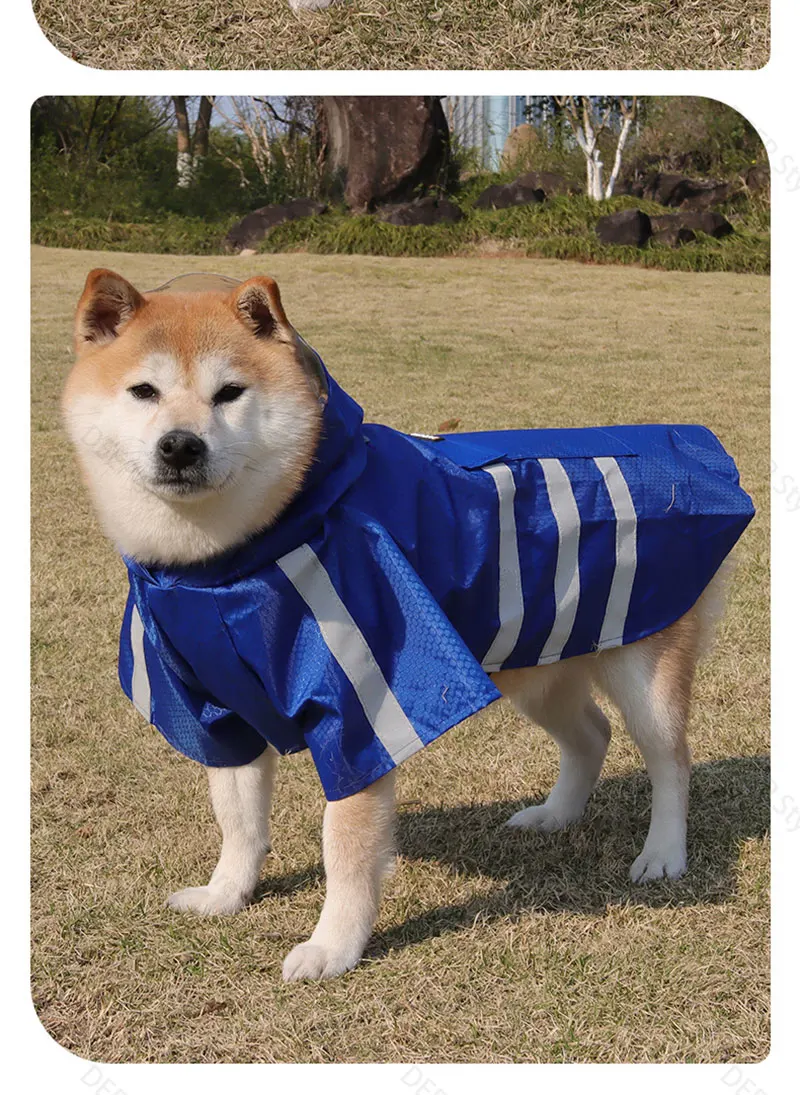 2026 Neuer Wasserdichter Reflektierender Hunde-Regenmantel mit Kapuze, Leichter Sommer-Regenponcho für Welpen, Outdoor-Regenjacke für Kleine Hunde – Detail 19