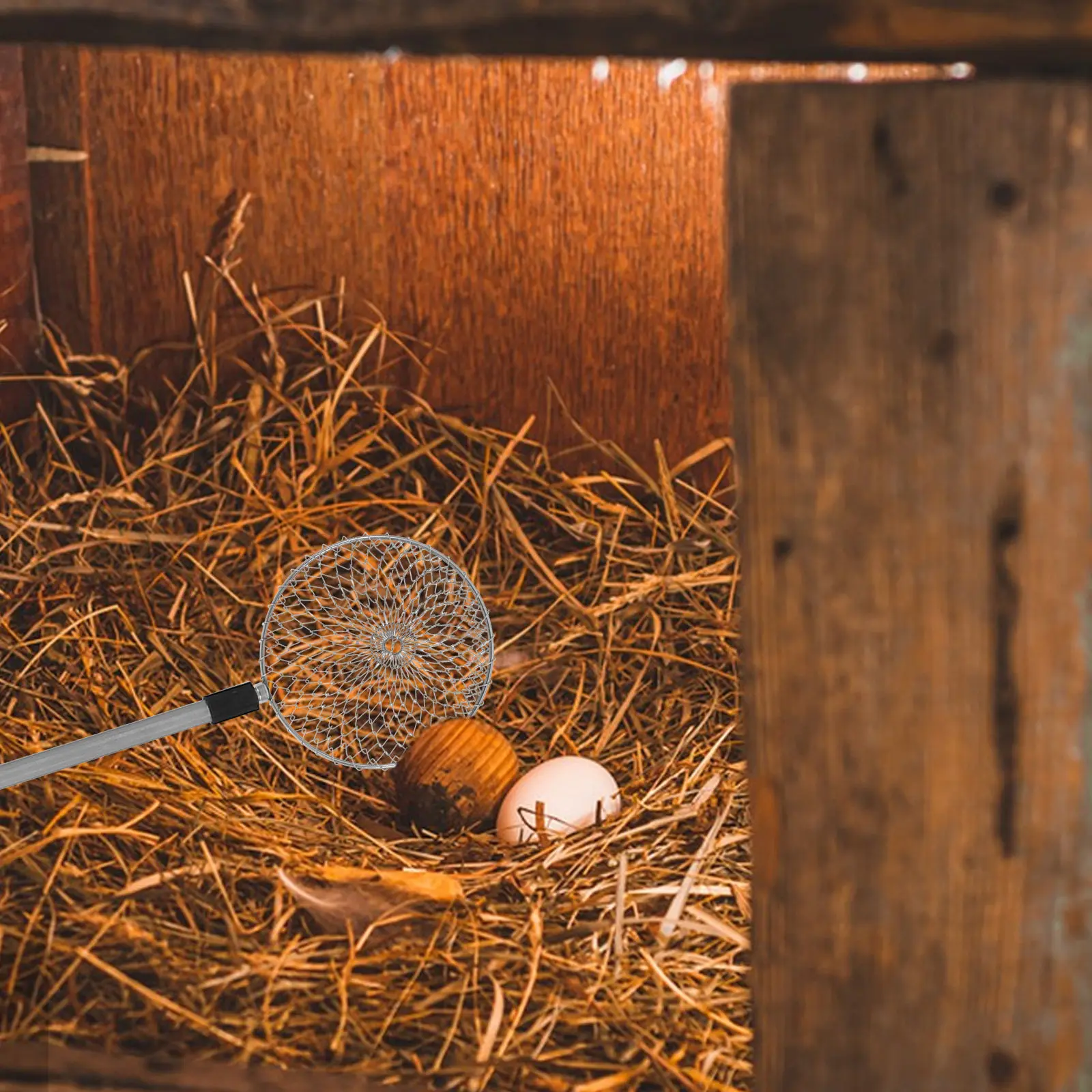Egg Grabber Metal Basket Two-Section Telescopic Collection Ergonomic Handle Chicken Coop Picker Tool Basket for Eggs
