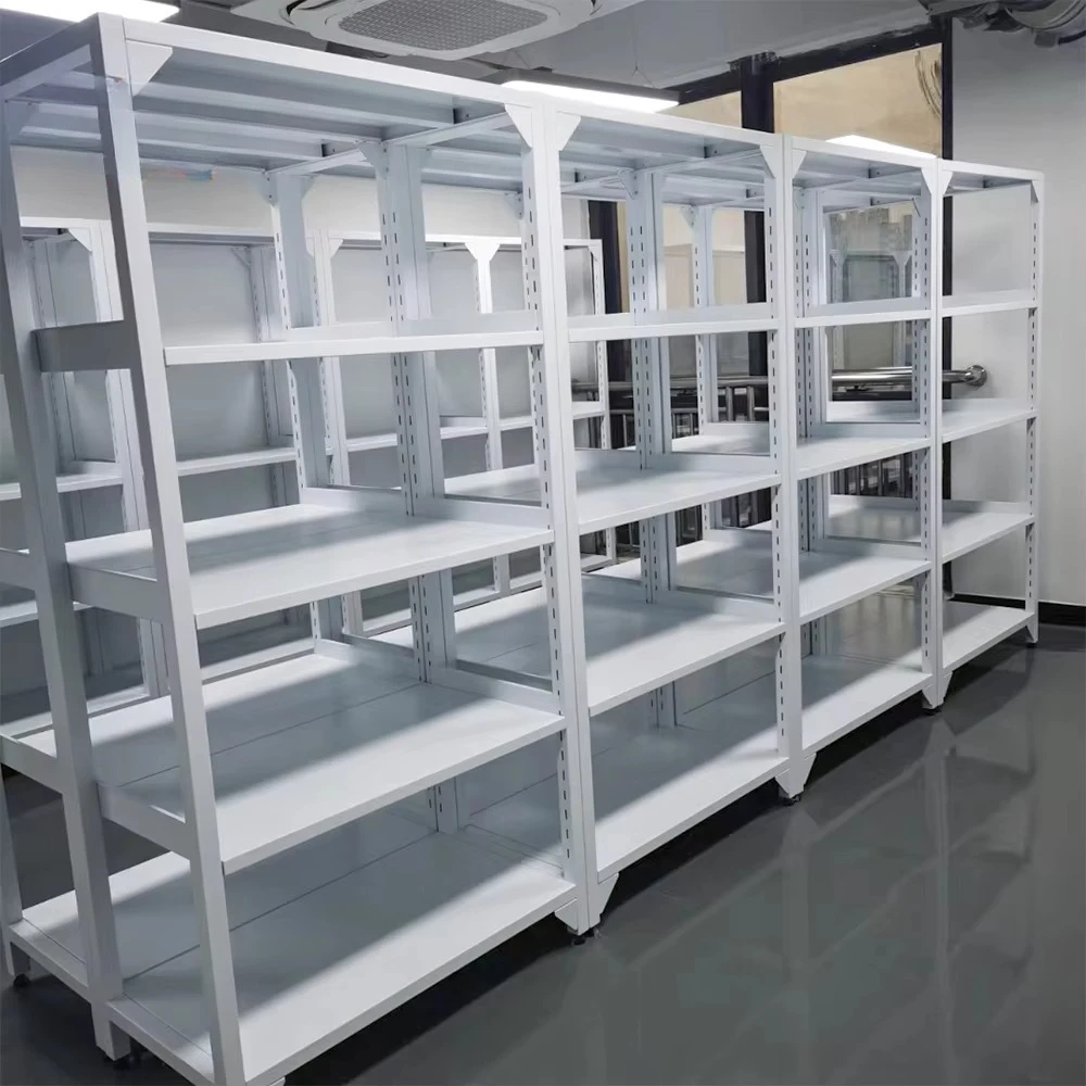 

Microbiology Experimental Instruments Chemistry Laboratory Warehouse Storage Cabinet Technicians Steel Lab Storage Shelf