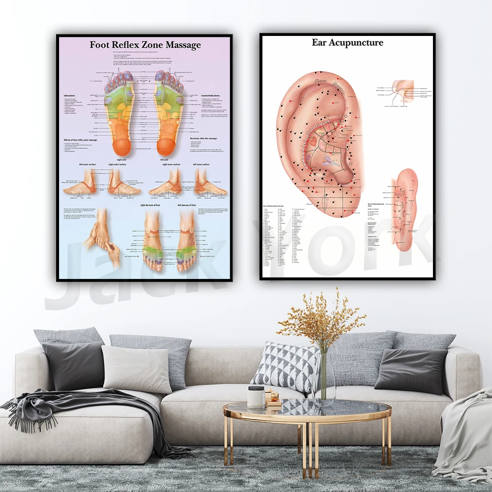 Ear points, foot reflex massage area, large art printed posters, home wall decoration