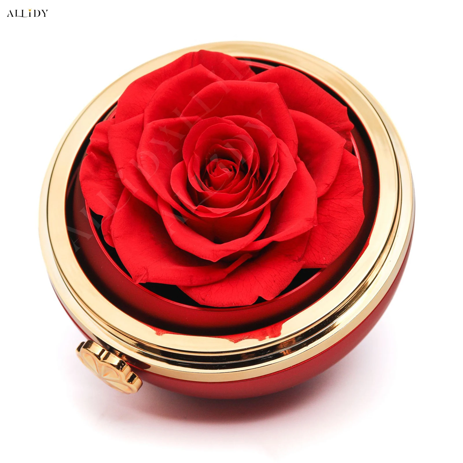 Valentinstagsgeschenk Rote Kristall-Liebeskette Rot Rosa Gold Silber mit echter konservierter Rose Schmuck Geschenkbox-Set – Detail 3