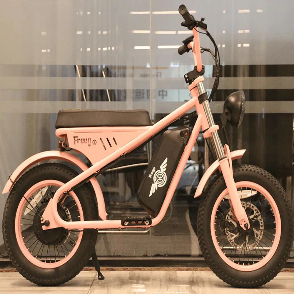 Freego دراجة نارية كهربائية صغيرة للطفل 800 واط محرك خلفي M1 48 فولت ، 10.4AH بطارية دراجة كهربائية الفرامل الهيدروليكية