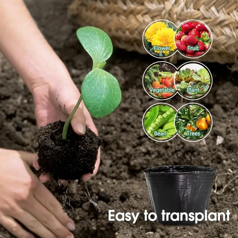 300/50 قطعة الشتلات السوداء أواني الحضانة البذور البلاستيكية بدء تنمو أكواب زهور النباتات تنمو حاوية الحقائب أكياس زراعة الشتلات #3