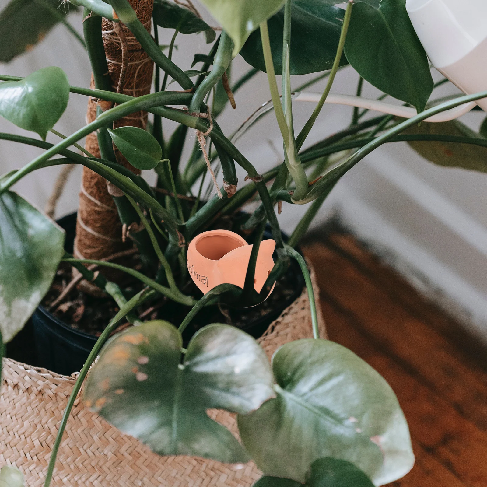 

Ceramic Automatic Watering Device Plant Self Watering Spike Garden Waterer Drip Irrigation Tool for Indoor Outdoor Plants Moist