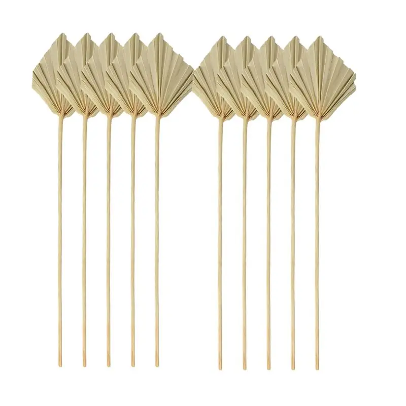 N04R Boho Dried Palm Spears Small Natural Dried Palm Fans Leaves Decor