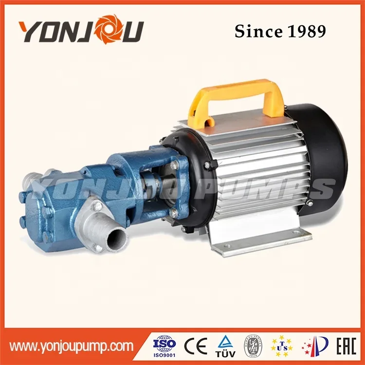 WCB Portable Mini Hand Small Volume Electric Self Priming Small Gear Oil Transfer Pump CE Rotary Pump Stainless Steel Standard