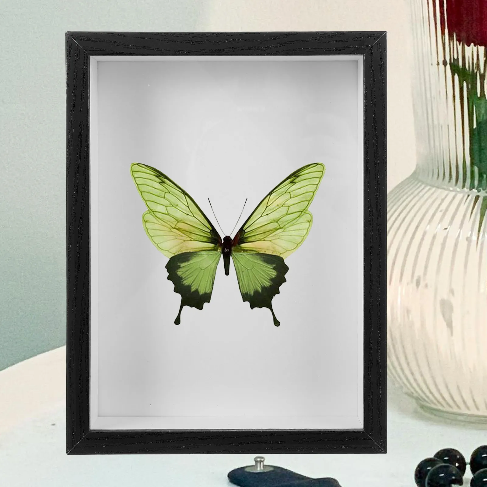 Artistic Butterfly Display Frame Wooden 3D Shadow Box for Insect Specimens Clear Acrylic Viewing Educational Gift for Entomology
