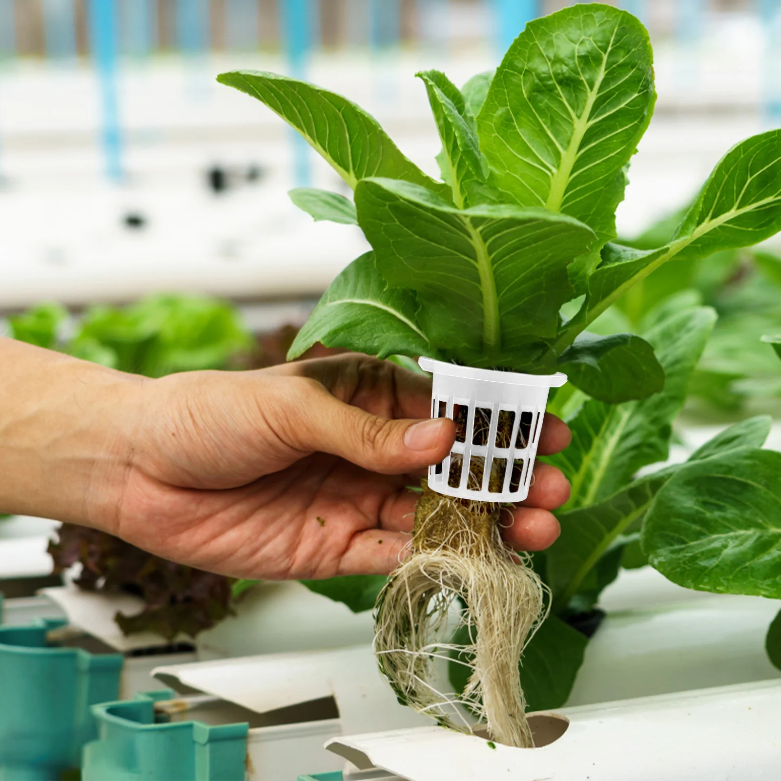 

50 pcs Plastic Hydroponic Grow Cups Soilless Cultivation Baskets For Sowing Transplanting Nursery Net Cups