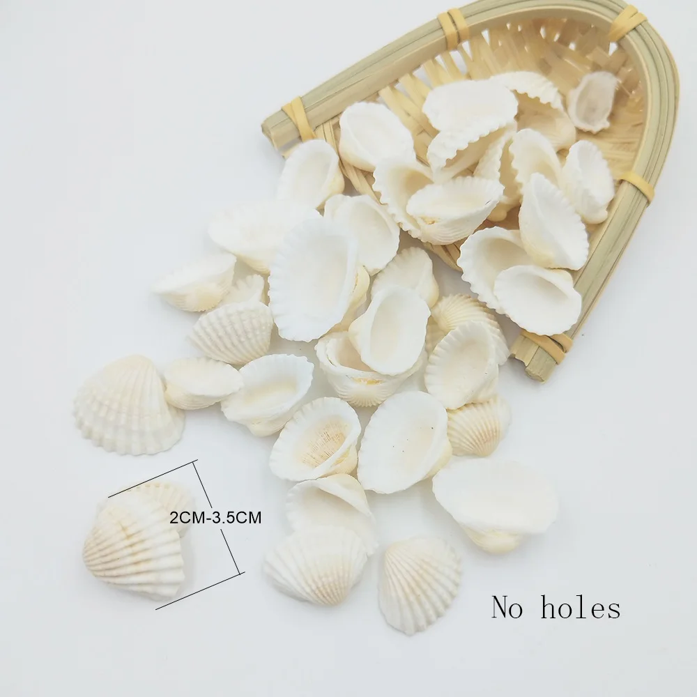 

15PCS 2-3.5CM Non-Porous Snow Clam Shell Natural White Shell Fish Tank Landscape Kindergarten Handmade DIY Wedding Festival Deco