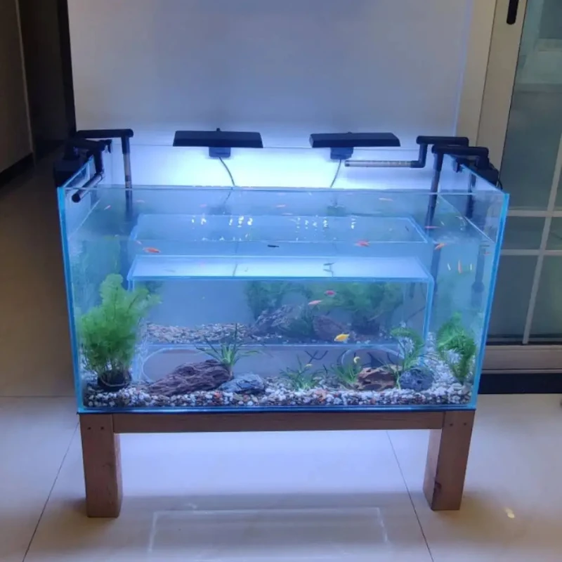 

Cat Viewing Fish Tank Diamond Viewing Glass Cat Fish Cat