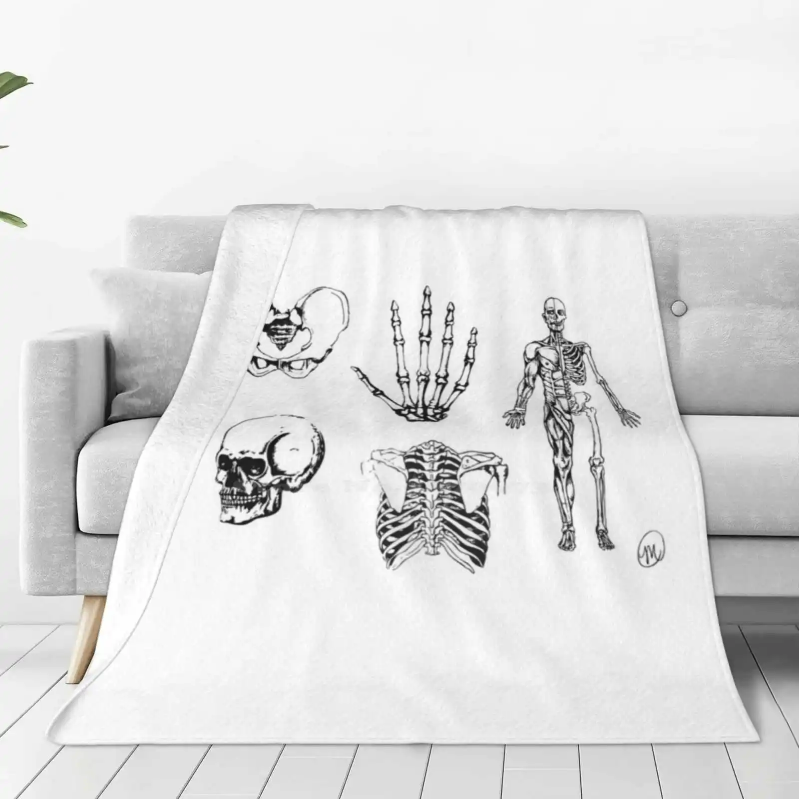 Human Anatomy Illustrations 2 New Arrival Fashion Leisure Warm Flannel Blanket Medical Illustrations Anatomy Illustrations