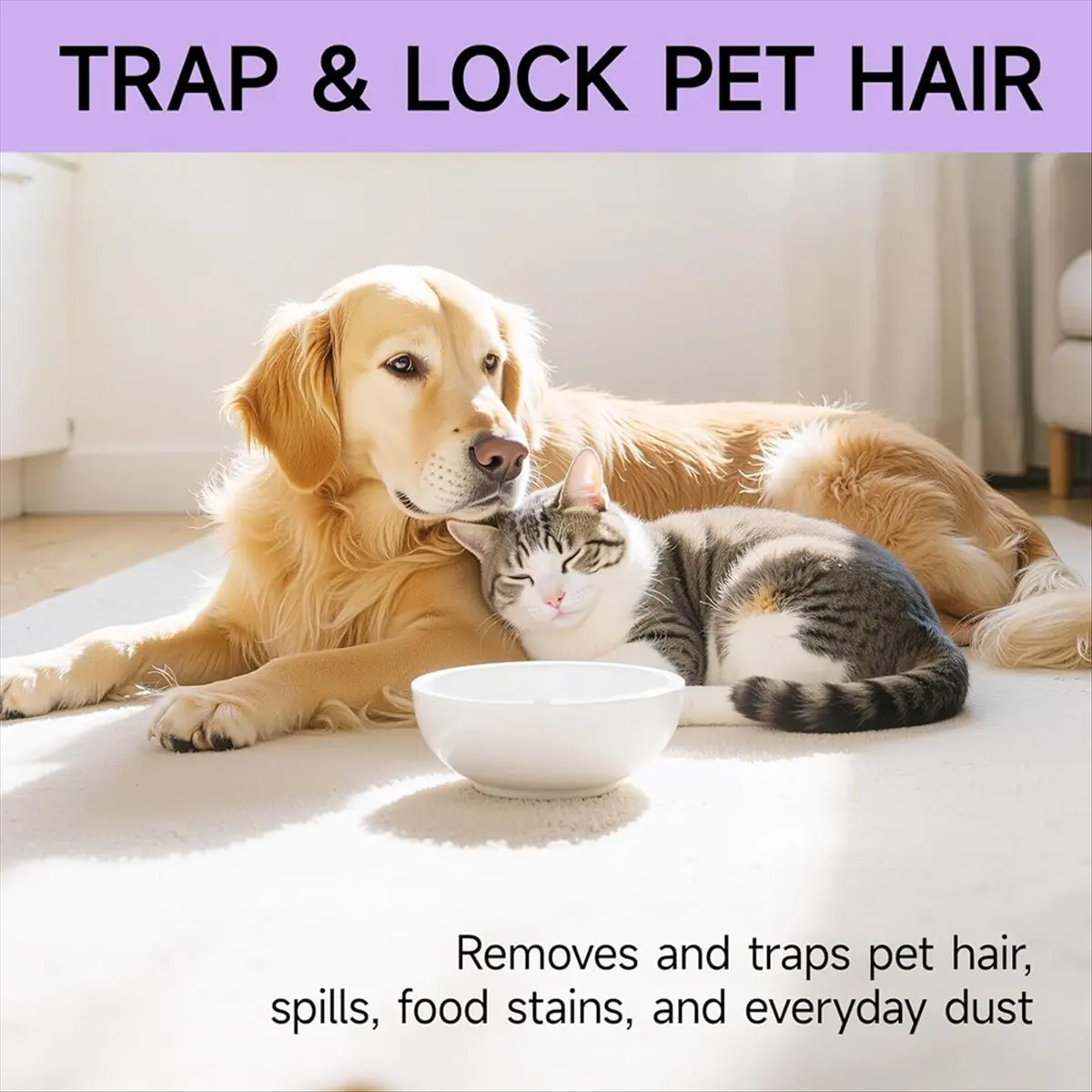 Steam Mop Replaceme…