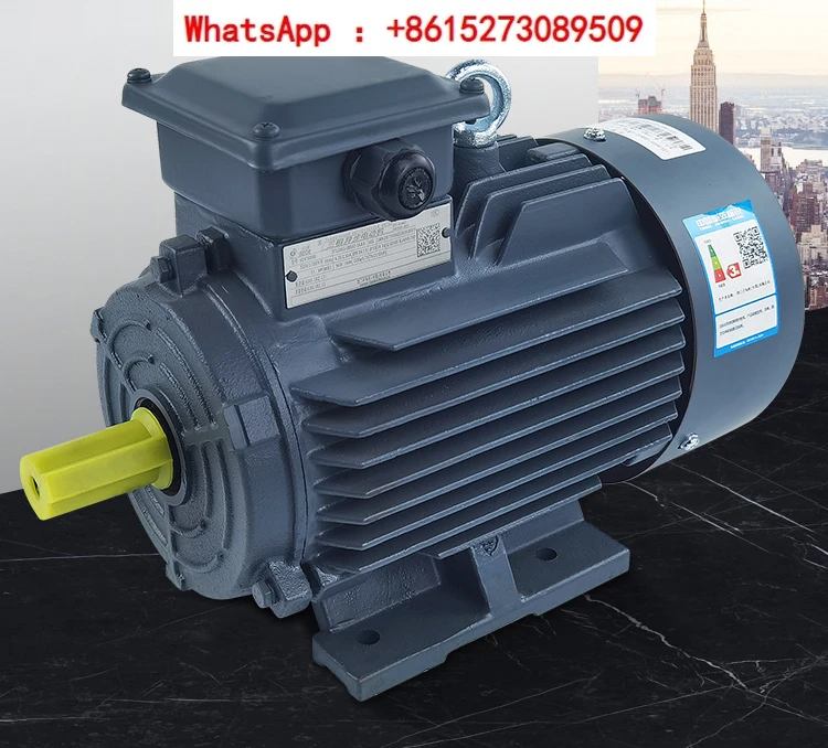 Bede motor 0.75 1.5 2.2 3 4 5.5 7.5 11KW Bede motor 1TL0003