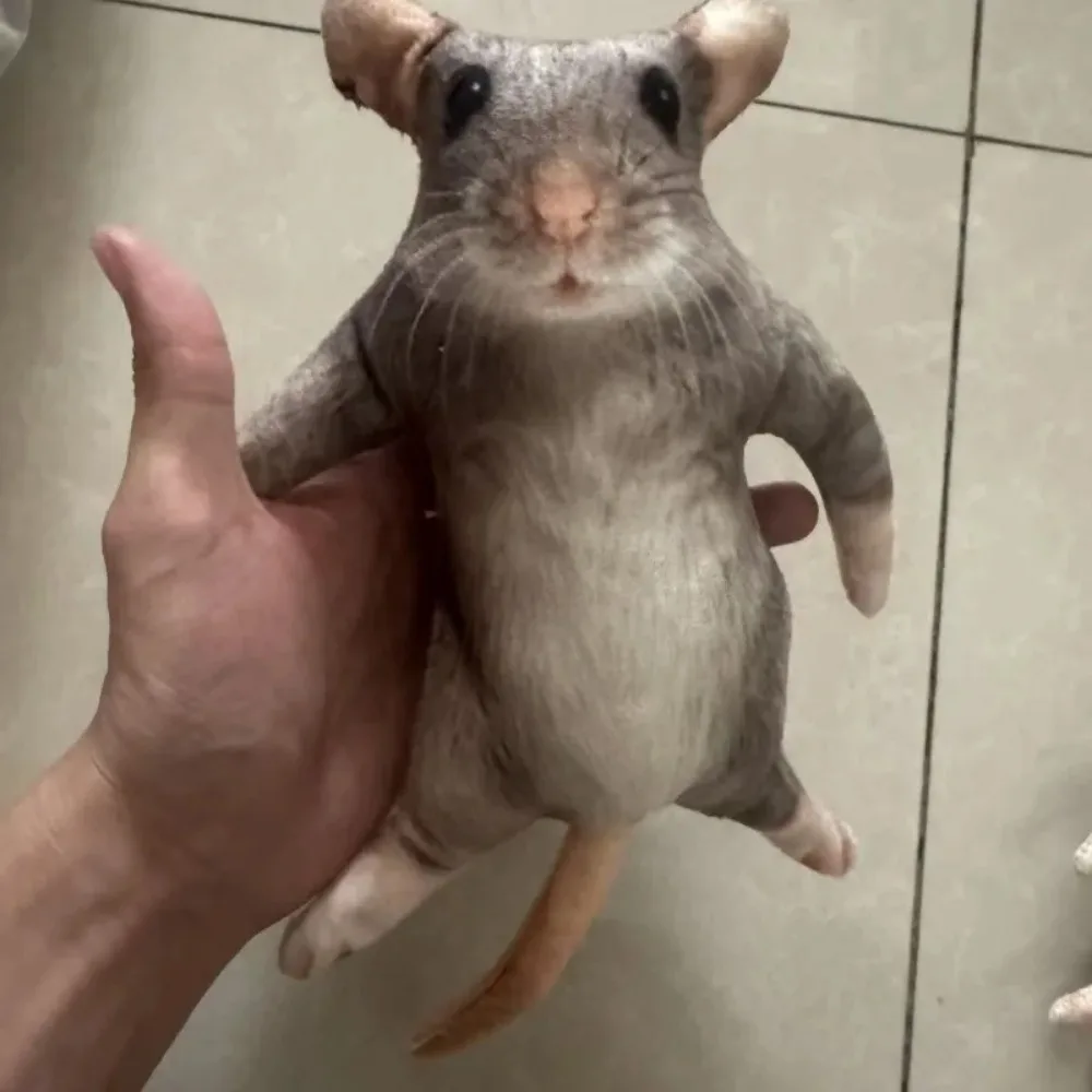 Creative 12/24cm Simulated Mouse Doll Plush Cartoon Doll Soft Kawaii Nimi Animal Figure Stem Built in Skeleton Kid Gift Birthday