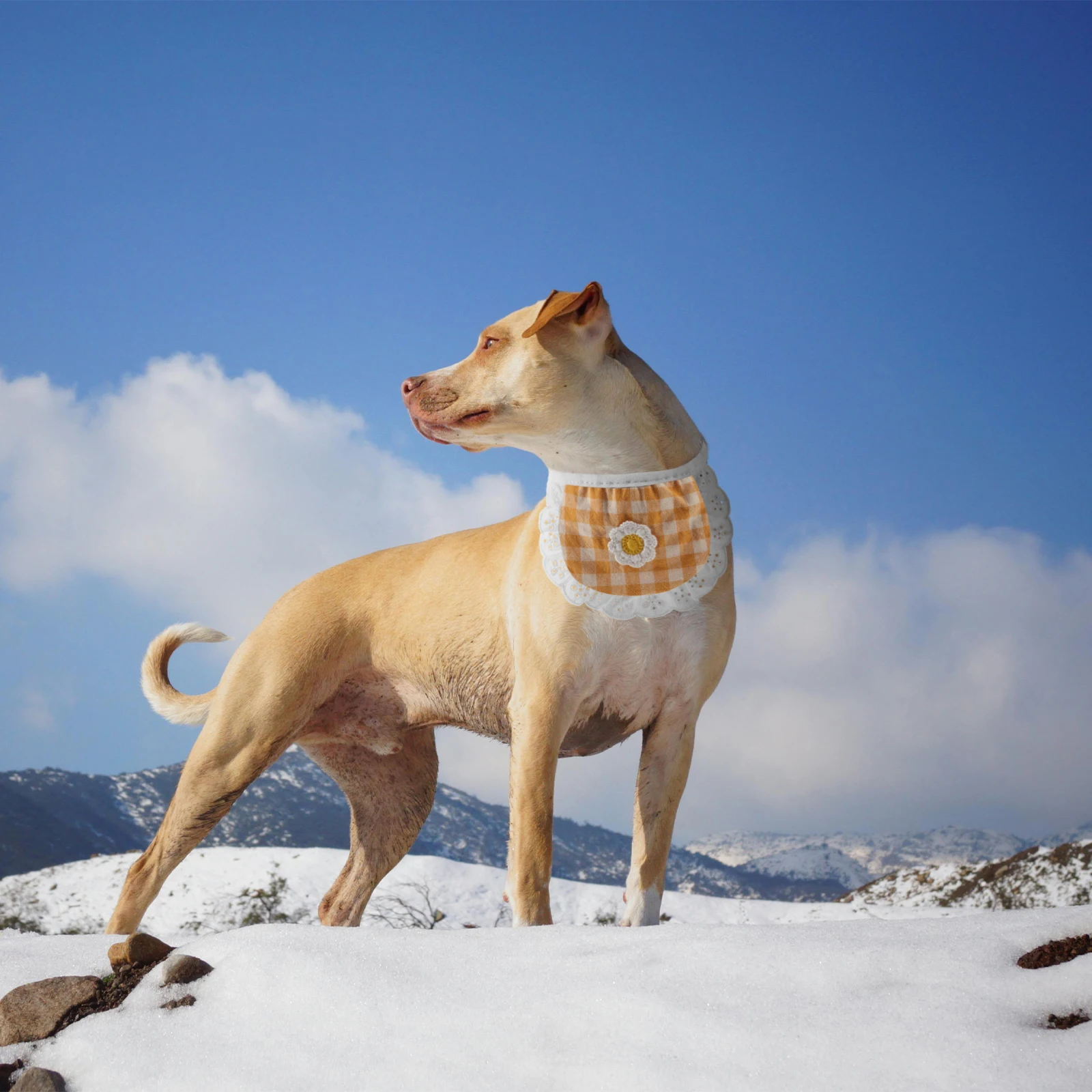 

Bandana Cotton Dog Neckerchief Plaid Floral Pattern Washable Drool For Small Dogs Cats Lightweight Pet Lace Bandana Bib