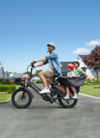 ENGWE LE20 Electric Bike 25km/h 250W Motor 48V38.4AH Battery 350km Super Range Electric Bicycle Hydraulic Brake Child Seat Ebike