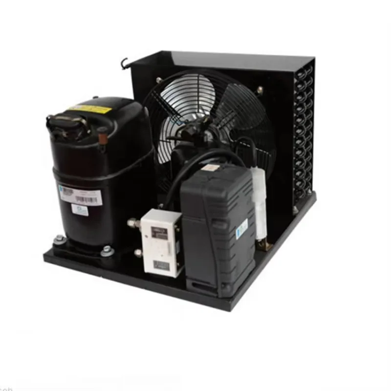 

CAJ2446ZBR Tecumseh Compressor 1 Condensing Unit 220V Ac Condenser Unit R404A Freezer Condensing Units