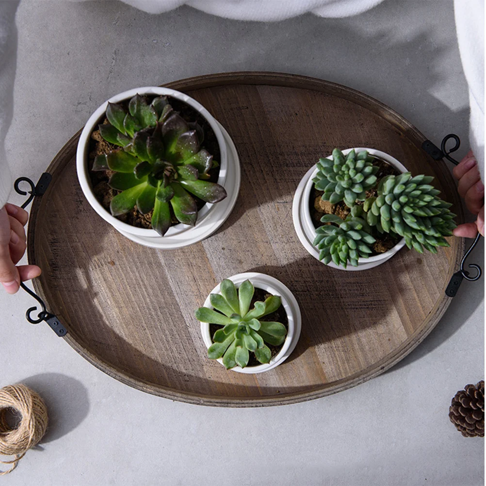 

Mini Saucer Modern Miniature Decorative Succulent Pots Small Planter Flower Garden Home
