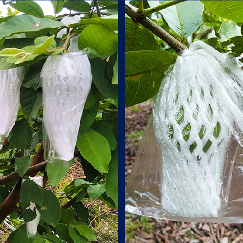 50/100 sets Guava Protection Cover Growing Bag Anti-Bird Insect Net Bag Pest Exclusion Fruit Protection Insect Bags