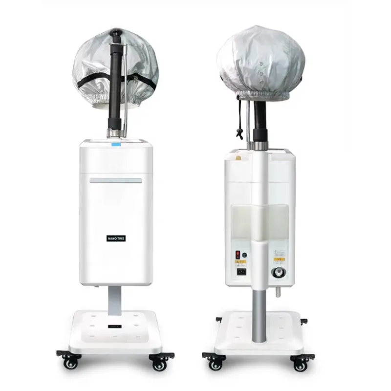 Modern Design Economic Era Spray Machine Multi-function Ozone Spa Care Nano Spray Micro Mist Hair Steamer Machine