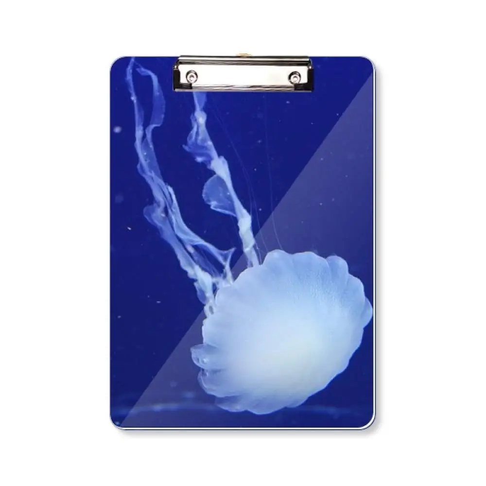 

Jellyfish Plastic Clipboards Acrylic Clipboard with Low Profile Silver Clip Standard Size for Classroom Nurse Office Hangable