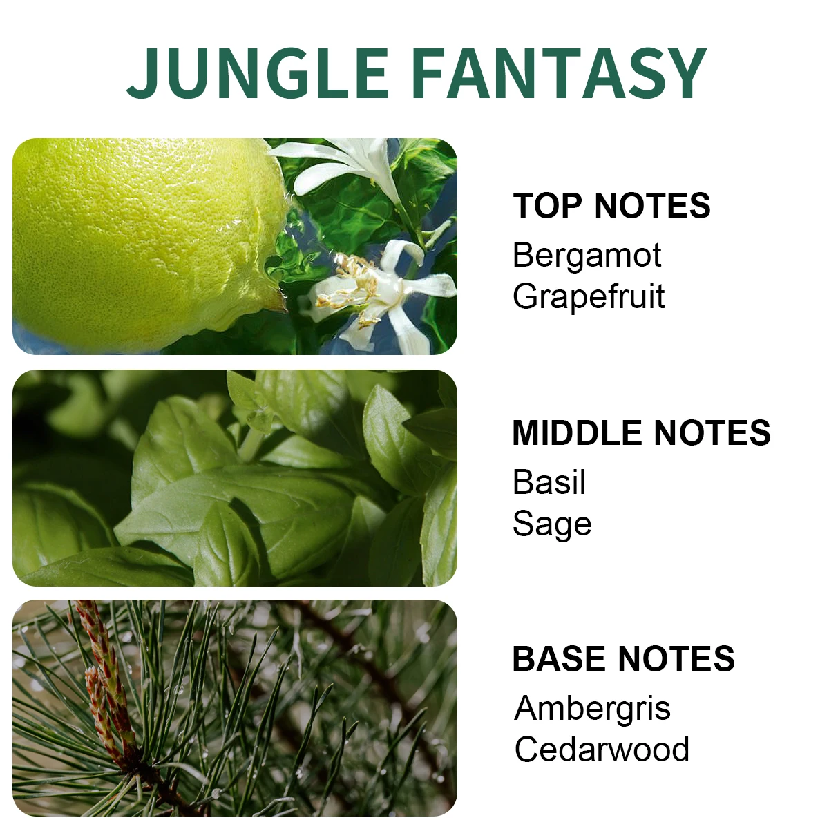 عطر LASTAR للرجال، توتالينج 100 مل/3.38 أونصة، عطر يدوم طويلاً، أرز، للاستخدام اليومي، هدية عيد الميلاد.