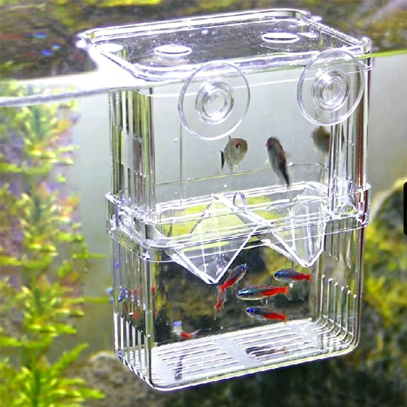 Hochtransparente Acryl-Fischzuchtbox Aquarium-Zuchtbehälter für Kleine Fische Betta-Brutkasten mit Saugnapf – Detail 8