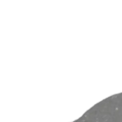 Chainsaw Carburetor…