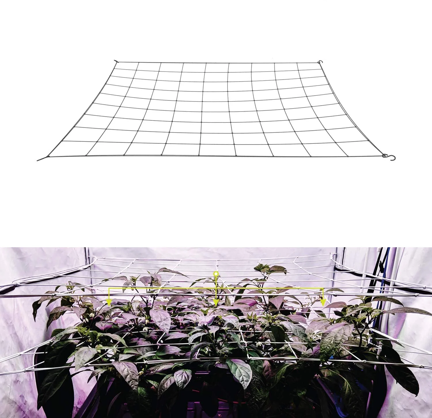 4'' Mesh Trellis Netting voor kweektenten Plantondersteuning Elastisch ScrOG/LST/HST Net met haken Grow Box Kit Lage stress Training