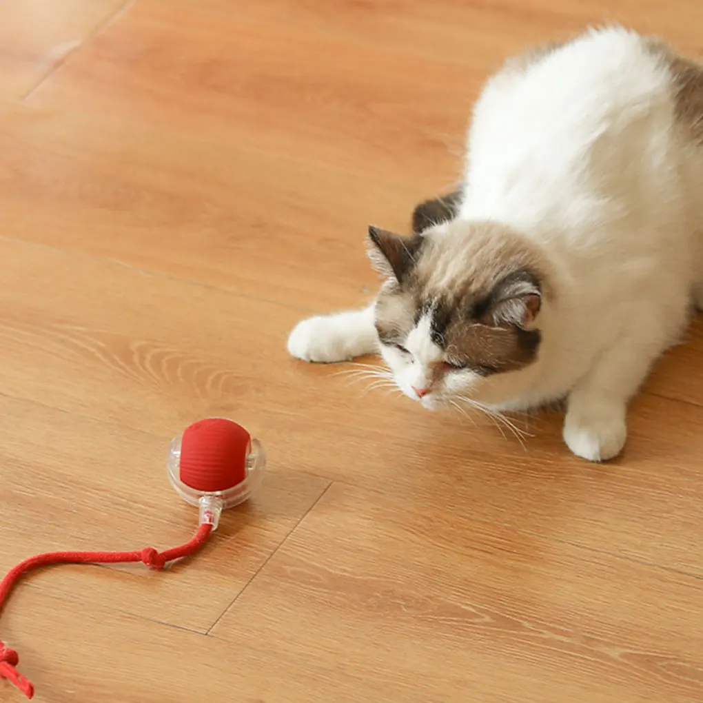 Durable Automatic R…