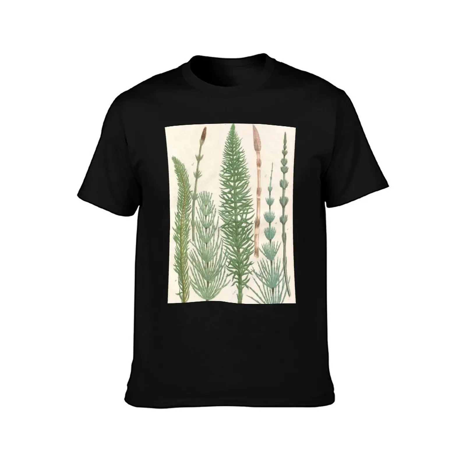 Botanical Horsetails T-Shirt oversized t shirt summer clothes basketball graphic tees mens graphic t-shirts funny