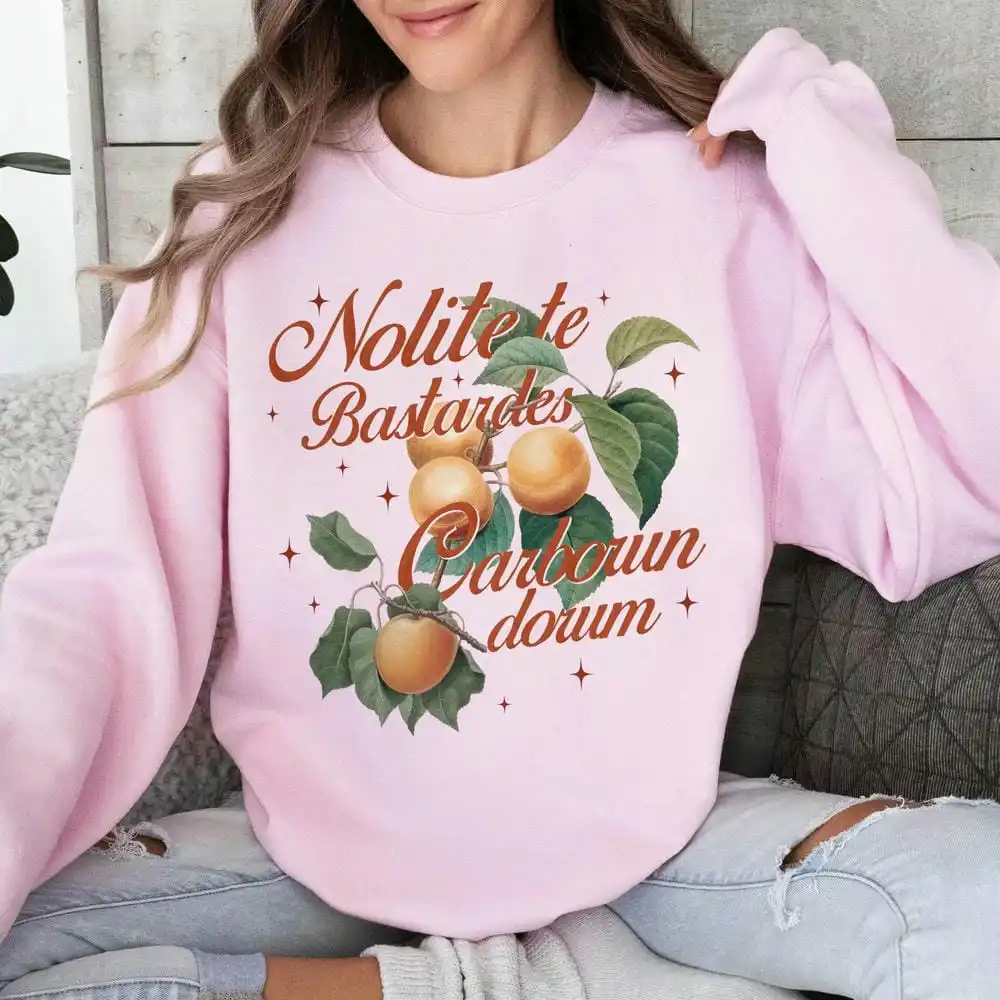 Damski sweter vintage Fourth Wing Merch, prezent dla miłośniczek książek, Nolite Te Bastardes Carborundorum, swetry Y2K, śmieszna bluza, odzież uliczna