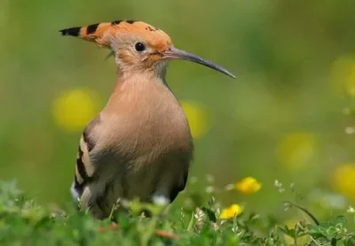 

Metal Upgrade Front Middle and Rear Door Axles For WPL 1/16 B16 B36 six wheel drive RC Car Parts