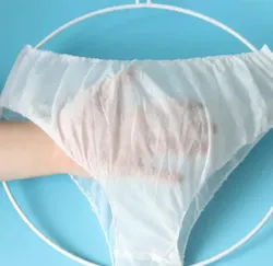 女性用ハイウエストパンティー,防水コットン下着,耐水性,生理的,大型