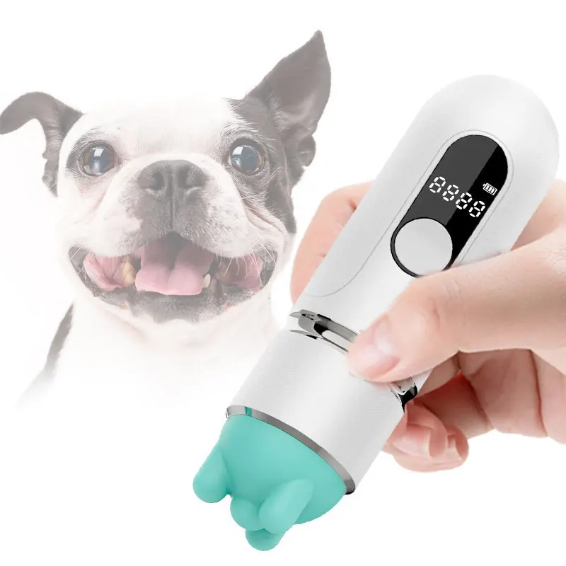 

Multi speed adjustable and detachable massage head, rechargeable dual-purpose massage instrument for humans and pets