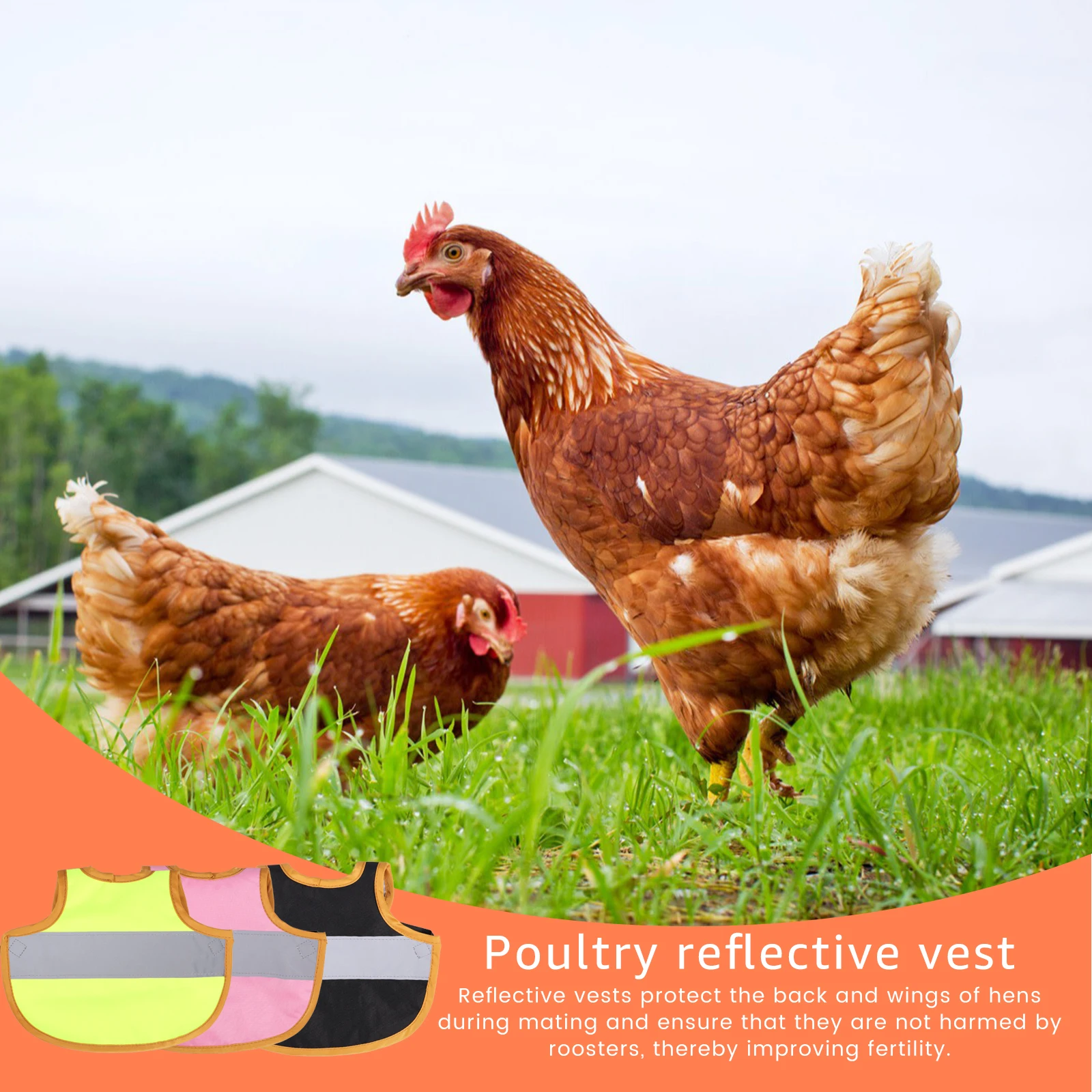 3Pcs Hen Reflective Vest Soft Lightweight Chicken Protection Vest Waterproof Breathable Hen Reflective Clothes Colorful