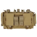 Coyote Brown