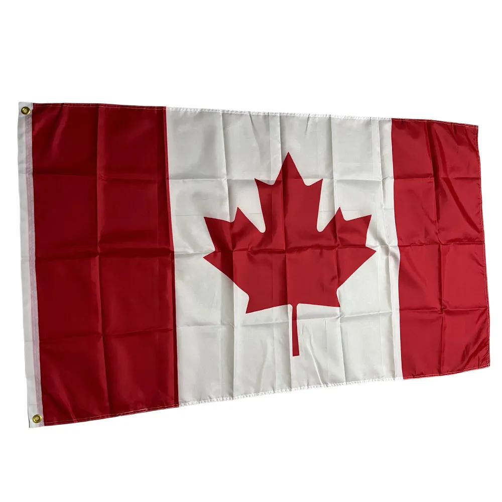 Drapeau national 90 x 150 cm/3 x 5 pieds avec 2 décorations à œillets en laiton pour tous les défilés de jeux/événements de pays/jour national/anniversaire