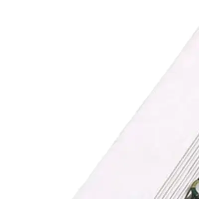 750W to 1000W Pure Sine Wave Inverter with 600W Continuous Output for DC 12V 24V 48V to AC 220V Conversion Needs