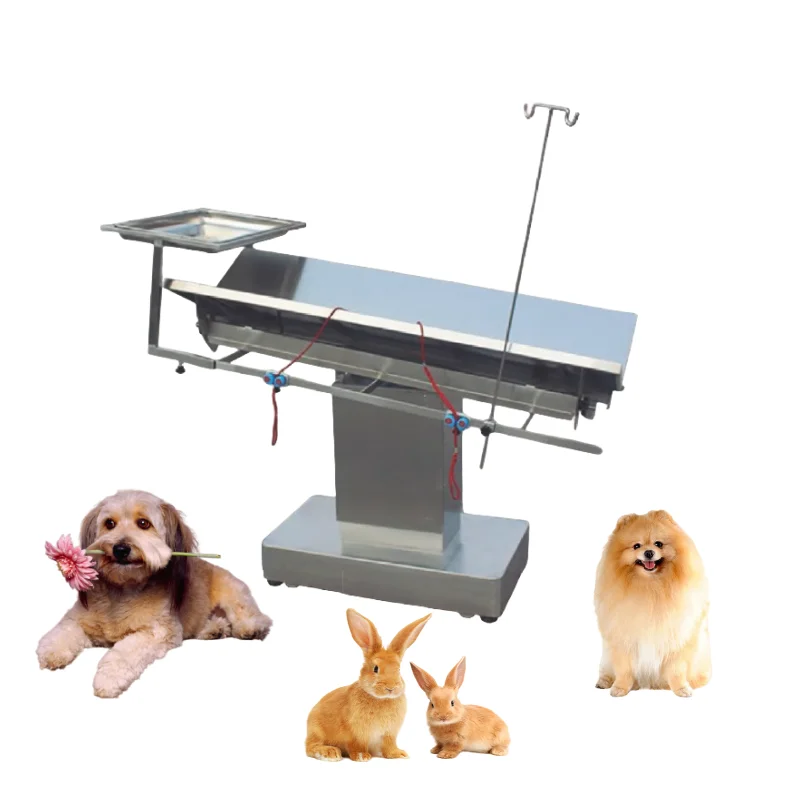 

Factory 304 Stainless Steel Vet Medical Surgical Operating Table Load-bearing 250kg Veterinary Electric Pet Operating Table Bed