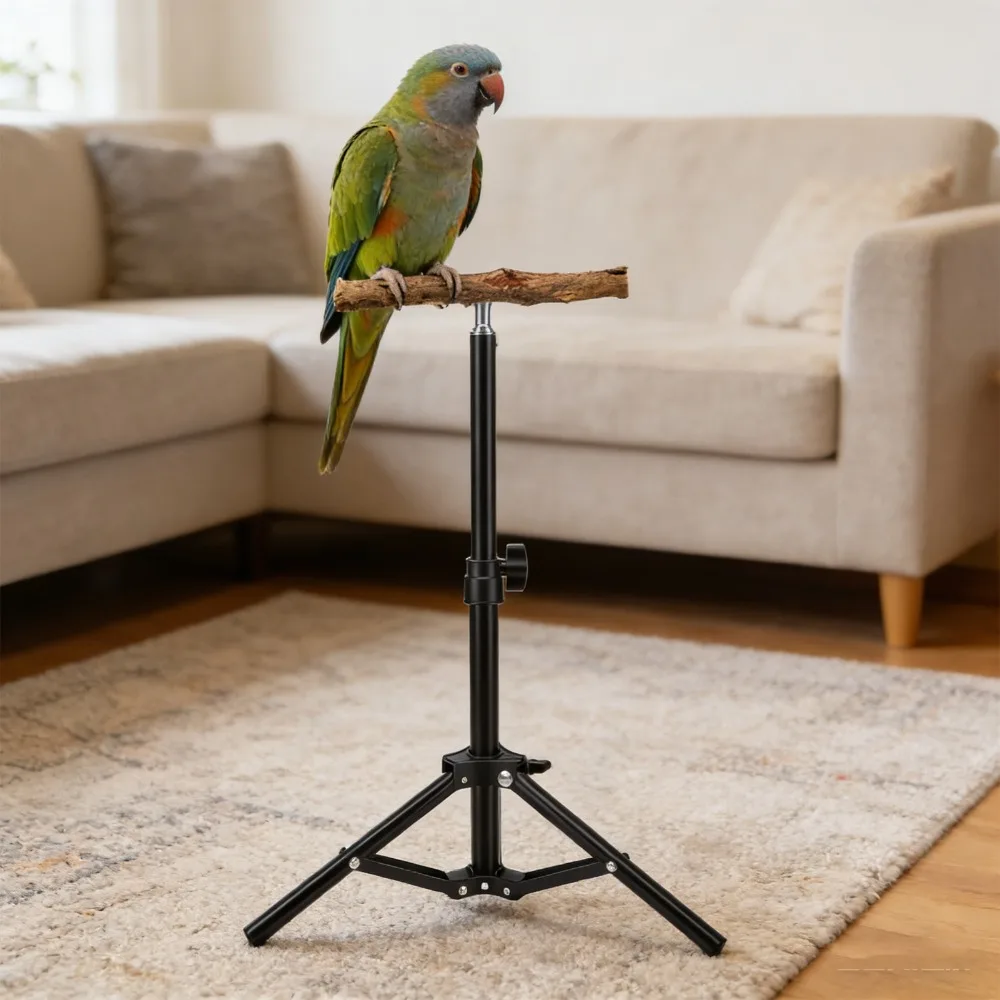 Thumbnail 2 - #87 Bird Perch Stands Comparison Guide