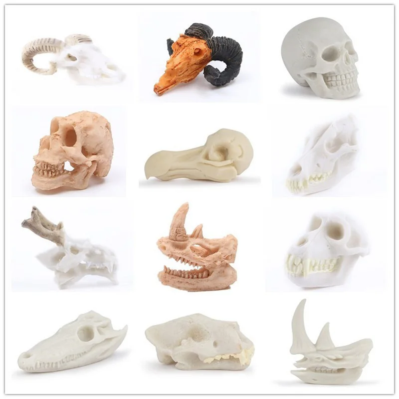 Aquarium Fish Tank Ornaments Aquatic Plants Landscaping Dinosaur Dodo Rhinoceros Sheep Resin Skull Animal Skull Head Home Decor
