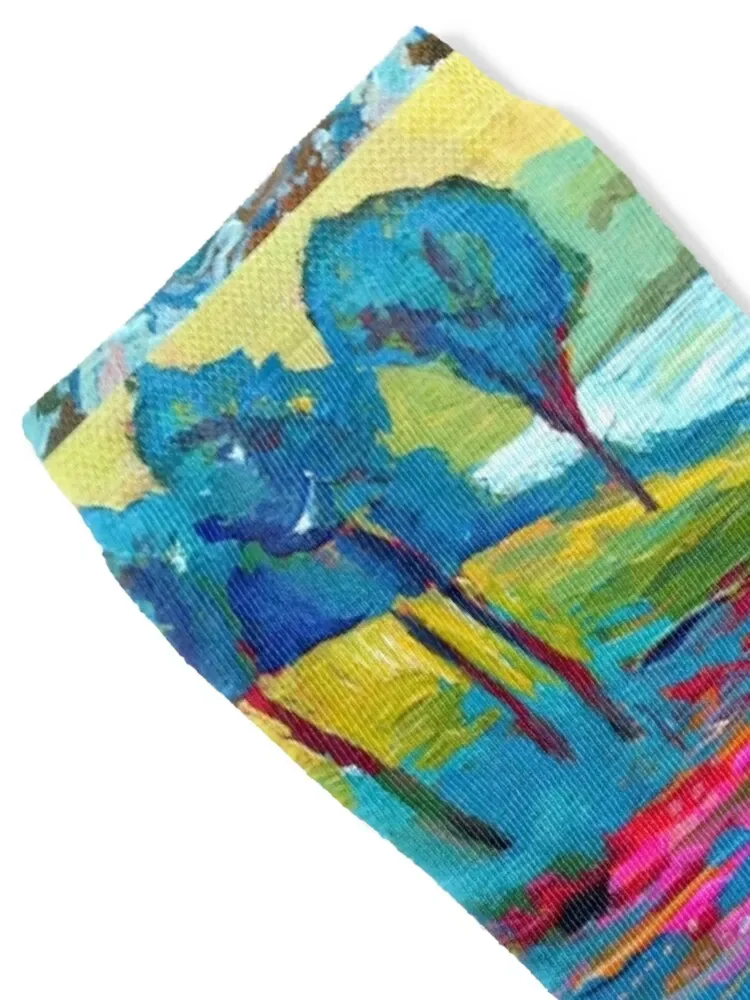 Sheen Falls, Kenmare, Kerry Socks sport cycling winter Stockings compression Luxury Woman Socks Men's